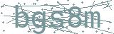 Fehler beim Laden des Captchas