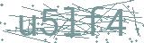 Fehler beim Laden des Captchas