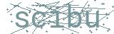 Fehler beim Laden des Captchas