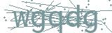 Fehler beim Laden des Captchas