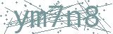 Fehler beim Laden des Captchas