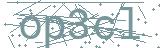Fehler beim Laden des Captchas