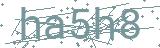 Fehler beim Laden des Captchas
